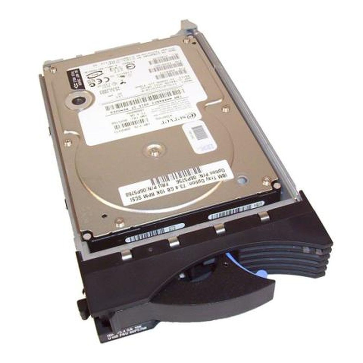 DYSK IBM 73.4GB SCSI ULTRA160 10K 3,5 08K0373