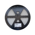 ZESTAW KONDENSATORÓW PANASONIC 500SZT. 16SVPE180M ZESTAW KONDENSATORÓW PANASONIC 500SZT. 16SVPE180M