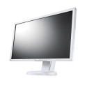 MONITOR EIZO FlexScan EV2313W 23' TN FULL HD KL.B