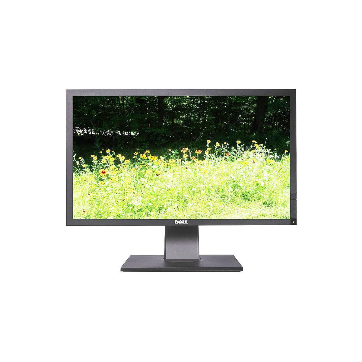 MONITOR DELL P2411HB 24' TN LED DVI FULL HD KL.A-