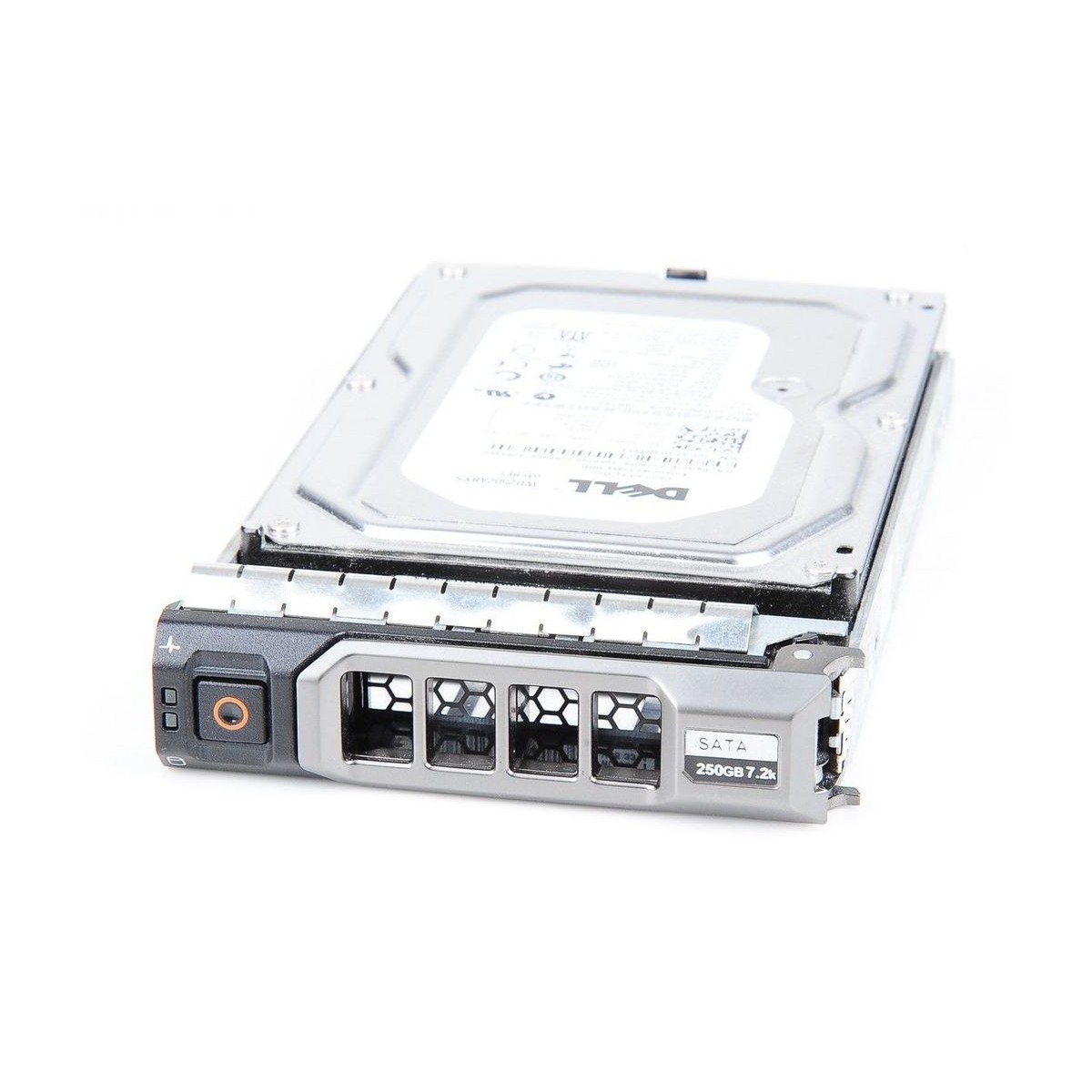 DELL SAMSUNG 250GB SATA HE253GJ 7.2K RAMKA 0GRCT2