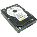 DYSK HP WD 80GB 7.2K SATA 3.5 WD800JD 381648-002