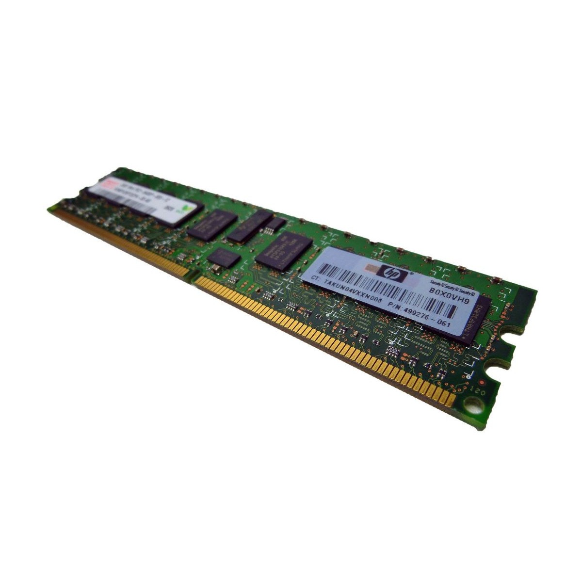 PAMIEC HP 1GB 1Rx8 PC2-6400P 499275-061